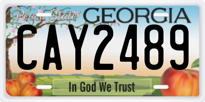 GA license plate CAY2489