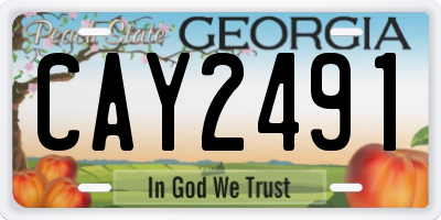 GA license plate CAY2491