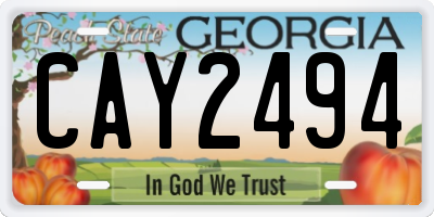 GA license plate CAY2494