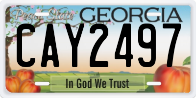 GA license plate CAY2497