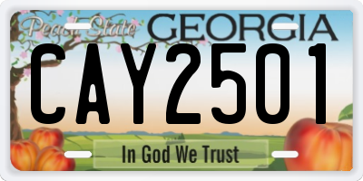 GA license plate CAY2501