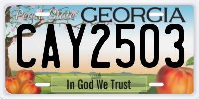 GA license plate CAY2503