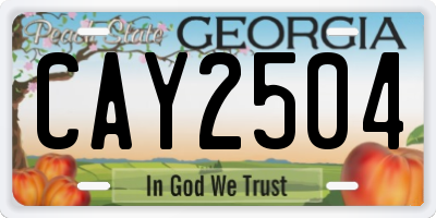 GA license plate CAY2504