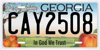 GA license plate CAY2508