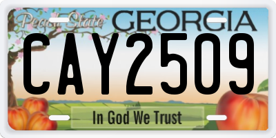 GA license plate CAY2509