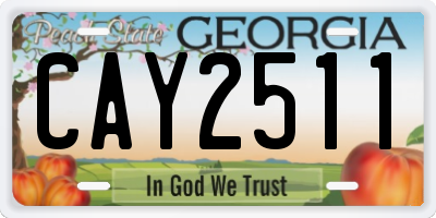 GA license plate CAY2511