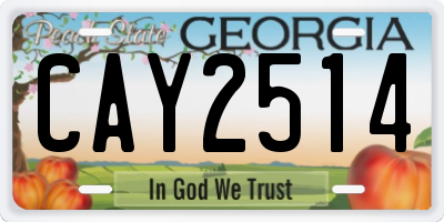 GA license plate CAY2514