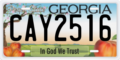 GA license plate CAY2516