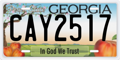 GA license plate CAY2517