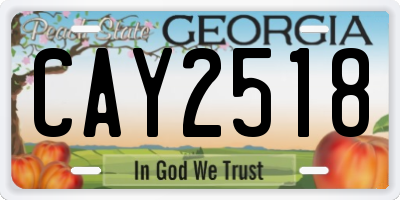 GA license plate CAY2518