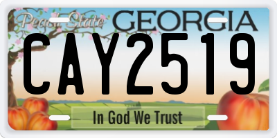 GA license plate CAY2519