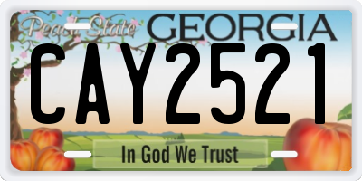 GA license plate CAY2521