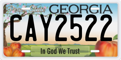 GA license plate CAY2522