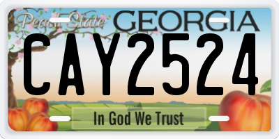 GA license plate CAY2524