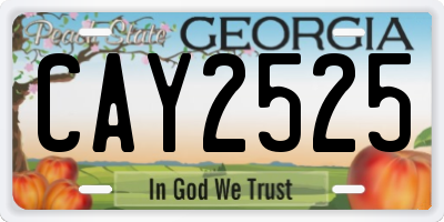 GA license plate CAY2525