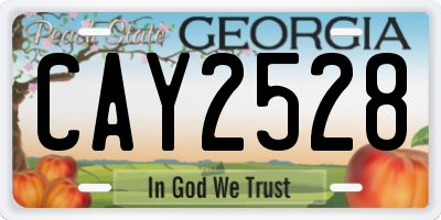 GA license plate CAY2528