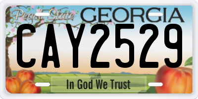 GA license plate CAY2529