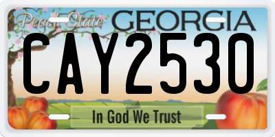 GA license plate CAY2530