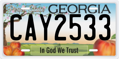 GA license plate CAY2533