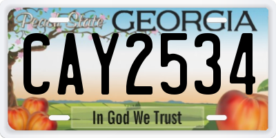 GA license plate CAY2534