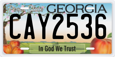 GA license plate CAY2536