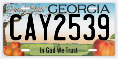 GA license plate CAY2539