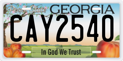 GA license plate CAY2540