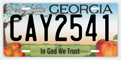 GA license plate CAY2541