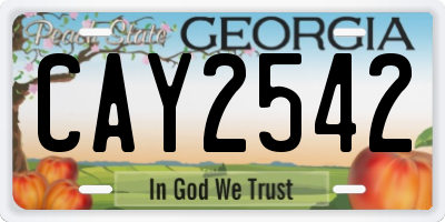 GA license plate CAY2542