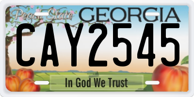 GA license plate CAY2545