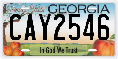 GA license plate CAY2546