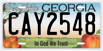 GA license plate CAY2548