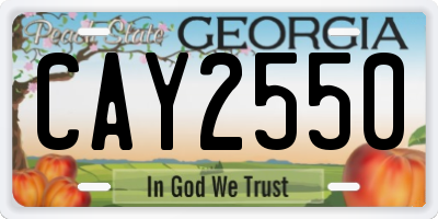 GA license plate CAY2550