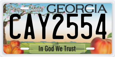 GA license plate CAY2554