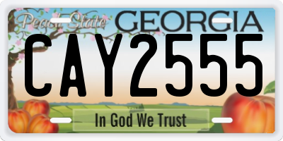GA license plate CAY2555