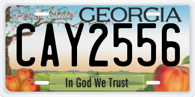 GA license plate CAY2556