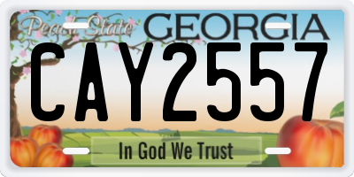 GA license plate CAY2557