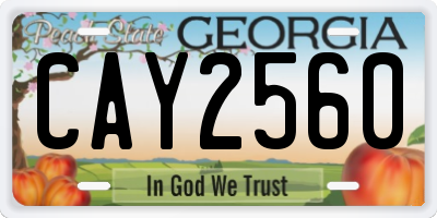 GA license plate CAY2560