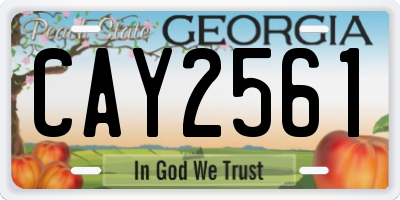 GA license plate CAY2561