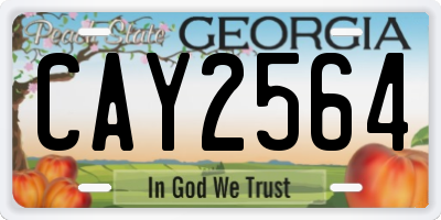 GA license plate CAY2564