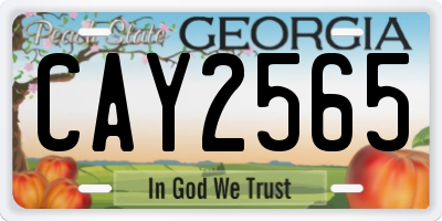 GA license plate CAY2565