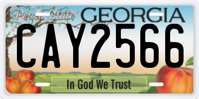 GA license plate CAY2566