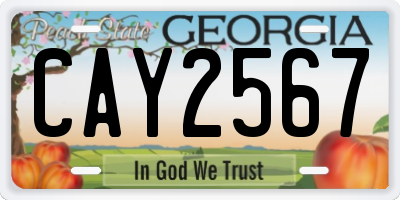 GA license plate CAY2567