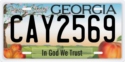 GA license plate CAY2569
