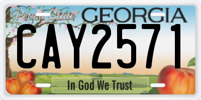 GA license plate CAY2571