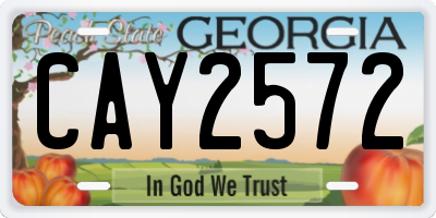 GA license plate CAY2572