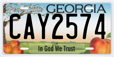 GA license plate CAY2574