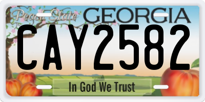 GA license plate CAY2582