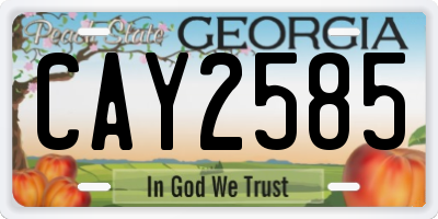 GA license plate CAY2585