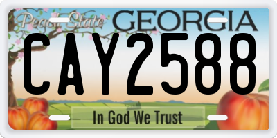 GA license plate CAY2588